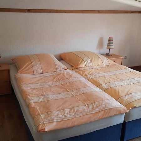Schoenermarker Pferdeparadies Niederlandin Bagian luar foto