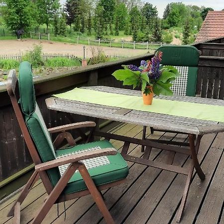 Schoenermarker Pferdeparadies Niederlandin Bagian luar foto