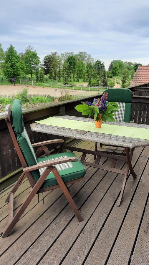 Schoenermarker Pferdeparadies Niederlandin Bagian luar foto